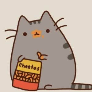 Meet your Posher, Akash